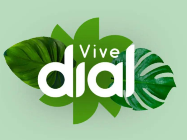 Chanel, Rozalén o David Bisbal en Vive Dial 2023