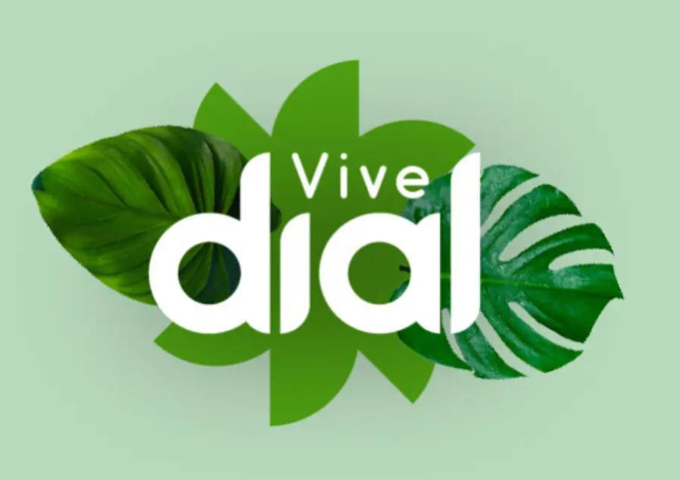 Chanel, Rozalén o David Bisbal en Vive Dial 2023